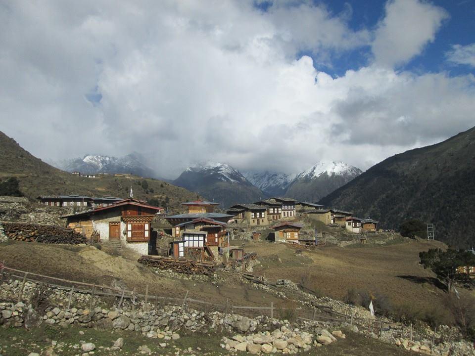 laya gasa (4)