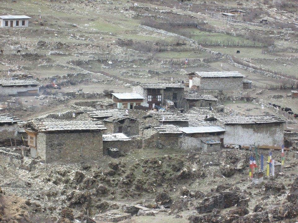 laya gasa (6)