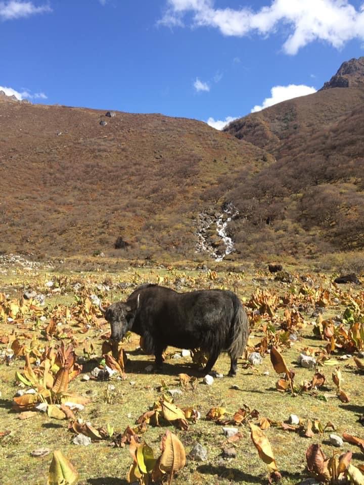 soi yaksha trek (10)