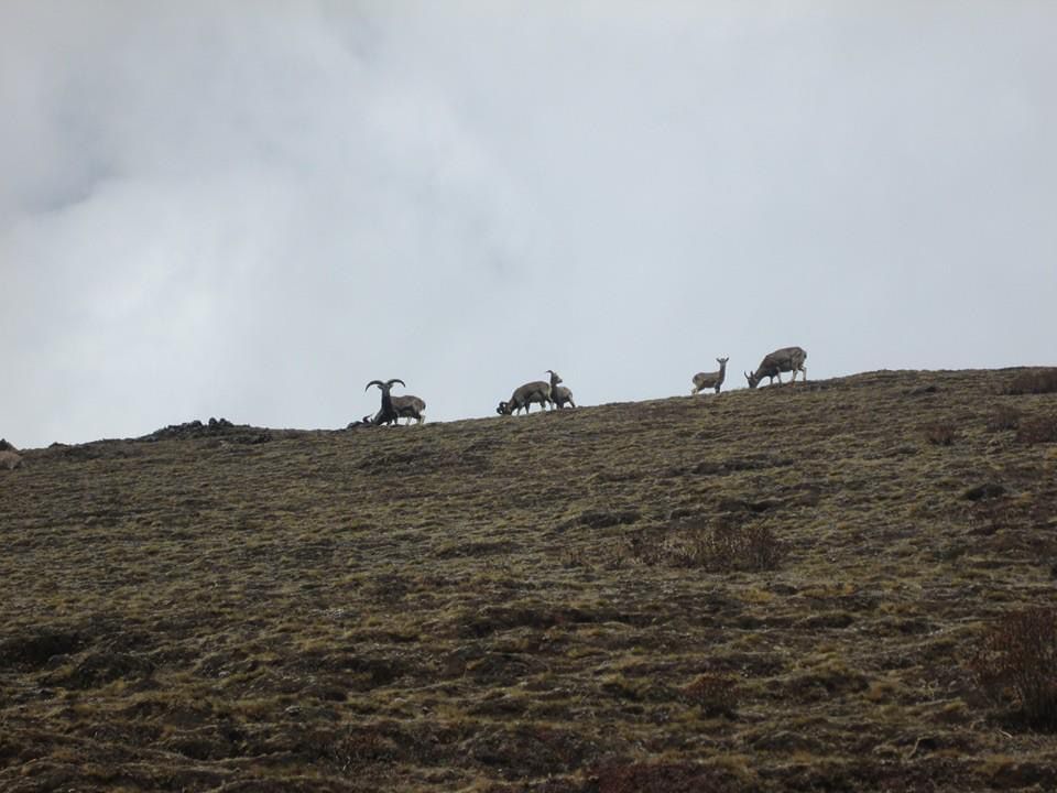 soi yaksha trek (3)