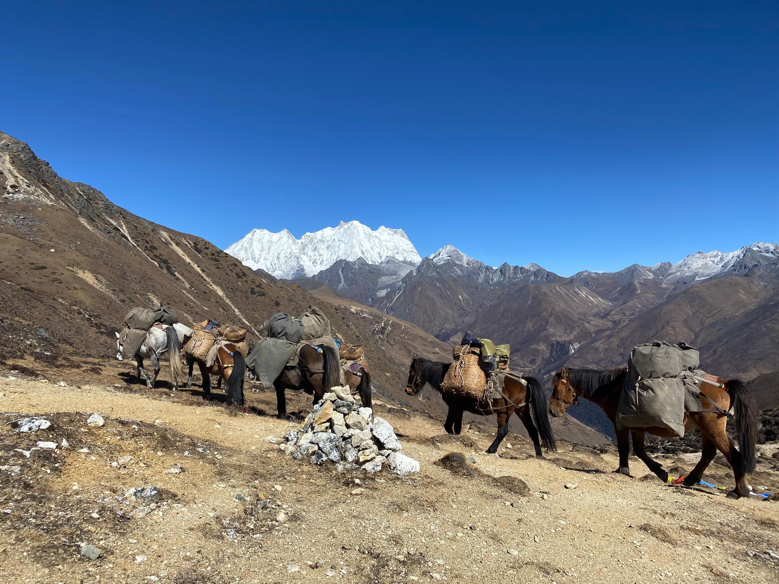 Laya Gasa Trek landscape