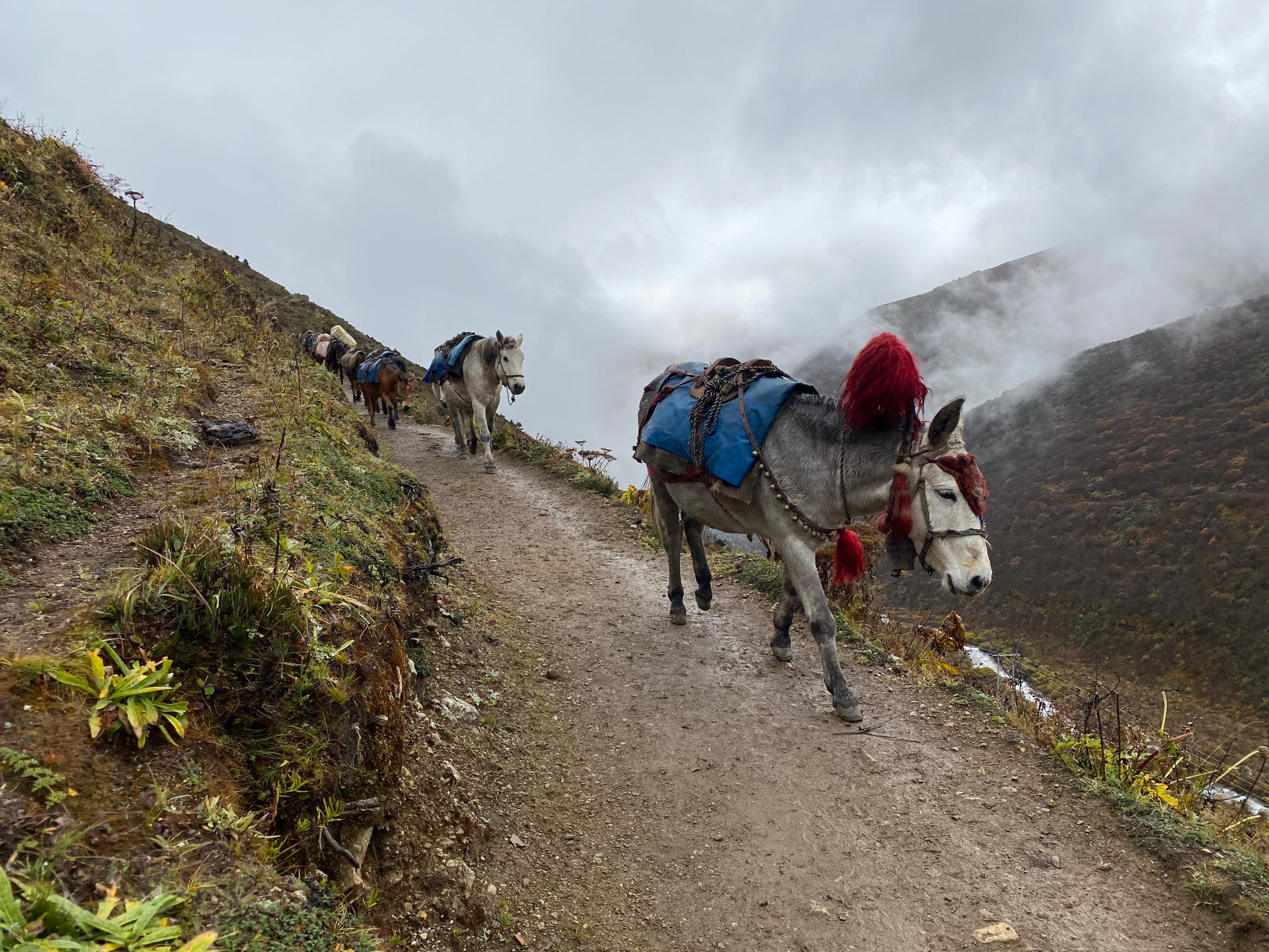 Jhomolihari mountain landscape